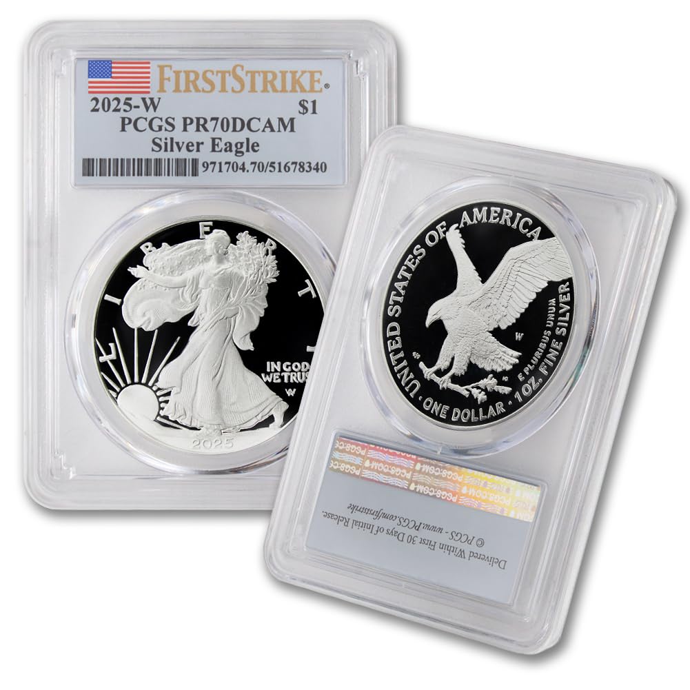 1 oz American Silver Eagle Coin Z73673