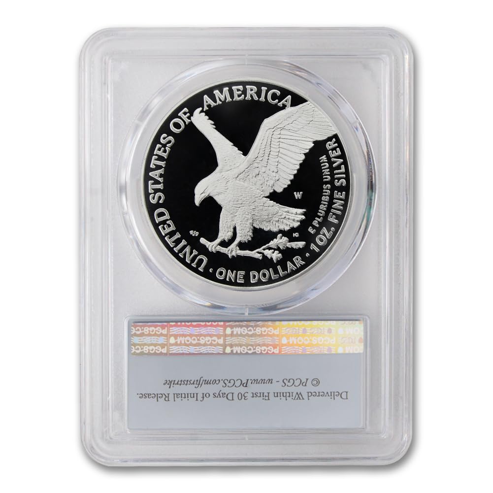 1 oz American Silver Eagle Coin Z73673