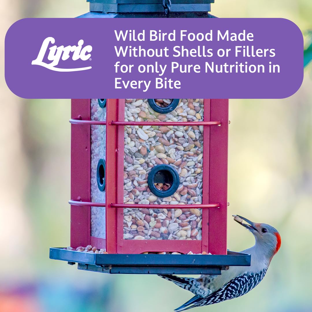 Wild Bird Seed, 20 lb Bag H58705