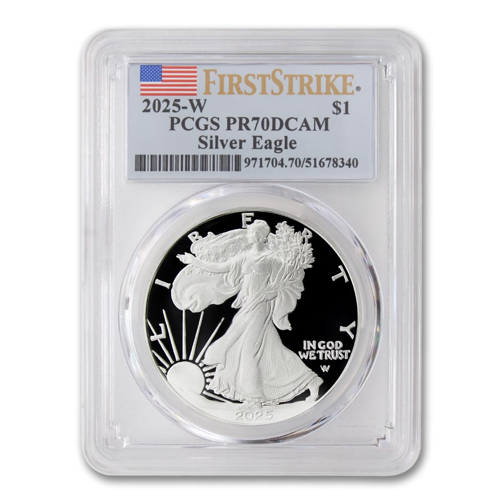 1 oz American Silver Eagle Coin Z73673
