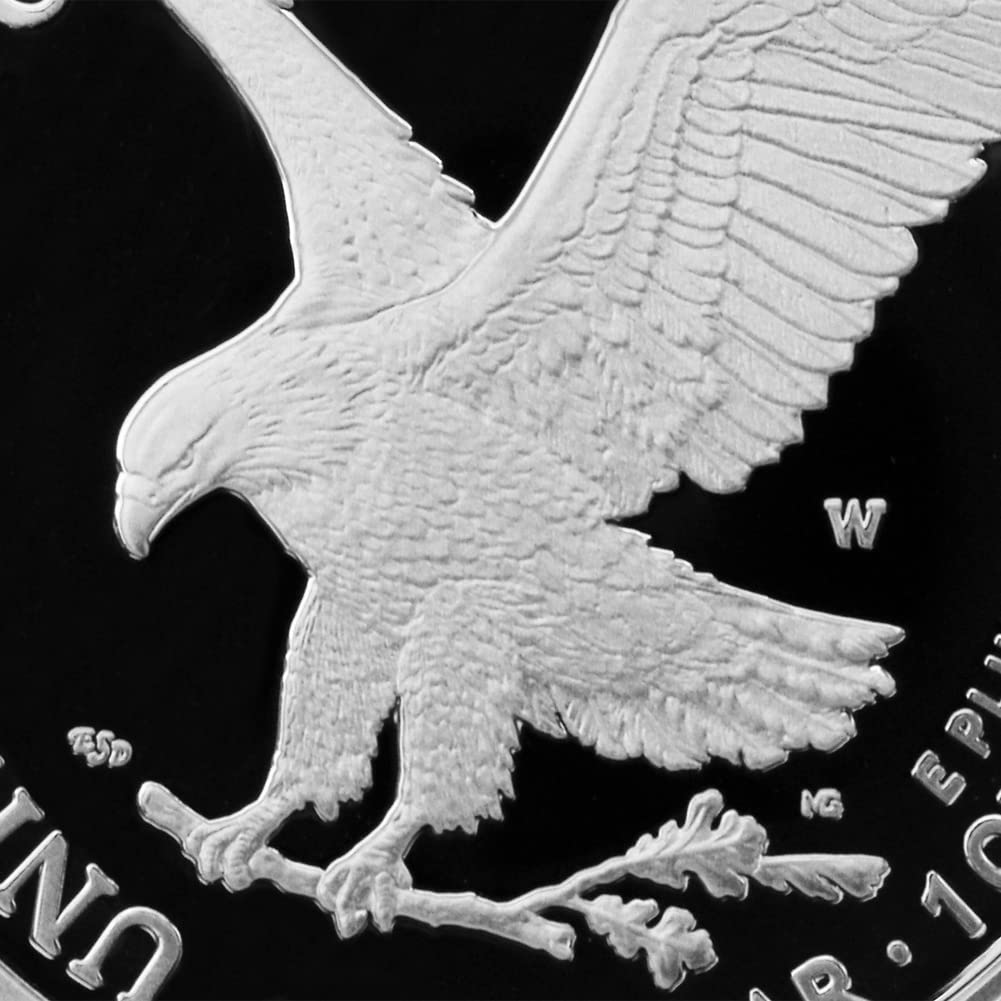 1 oz American Silver Eagle Coin Z73673