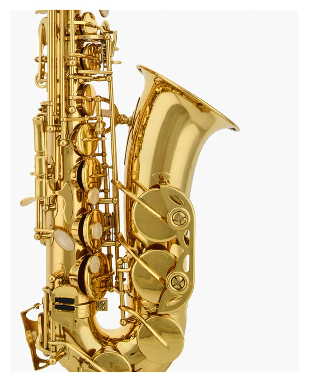 Alto E Flat Lacquered Gold Saxophone F577531