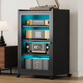 Black Media Cabinet with Glass Door U95518