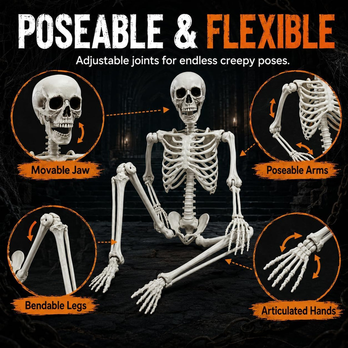 5.4FT Life Size Posable Human Skeleton with Movable Jaw C1487