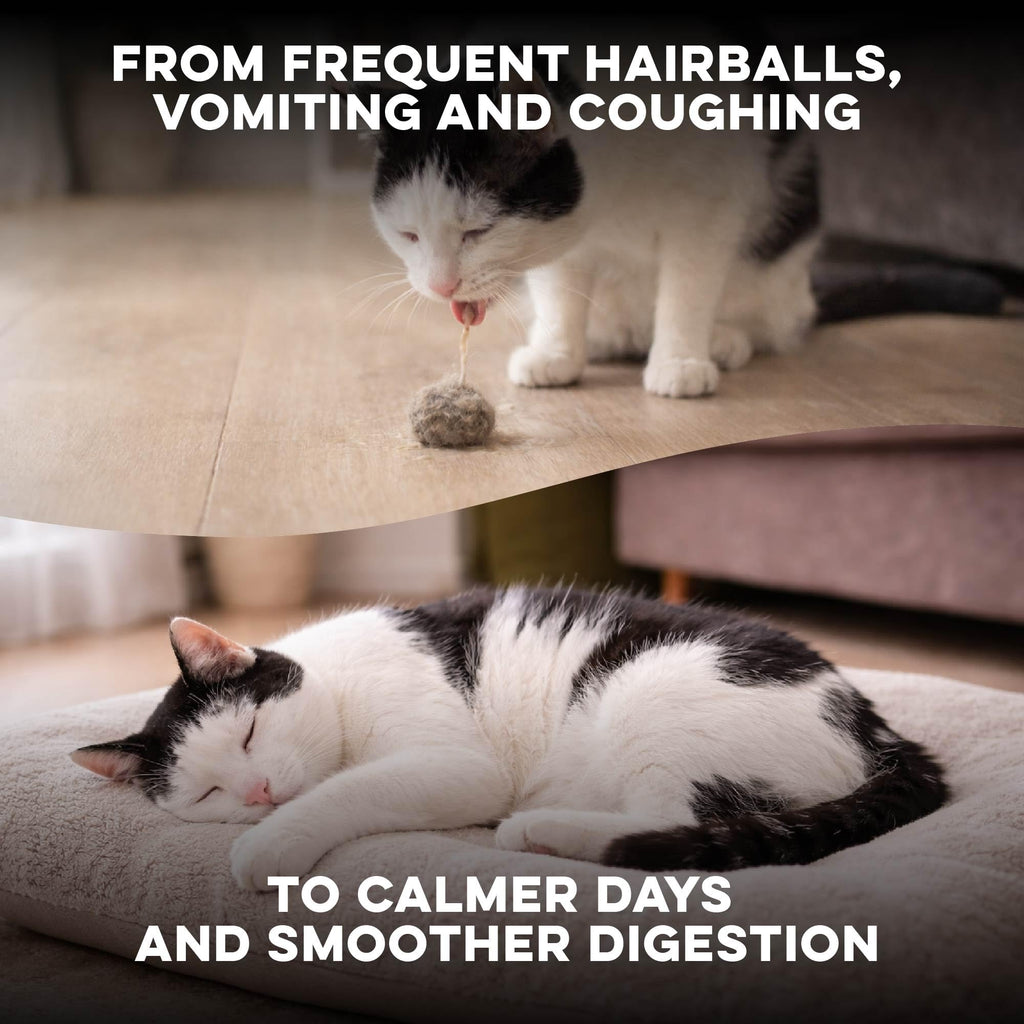 Hairball Treatment for Cats O5398