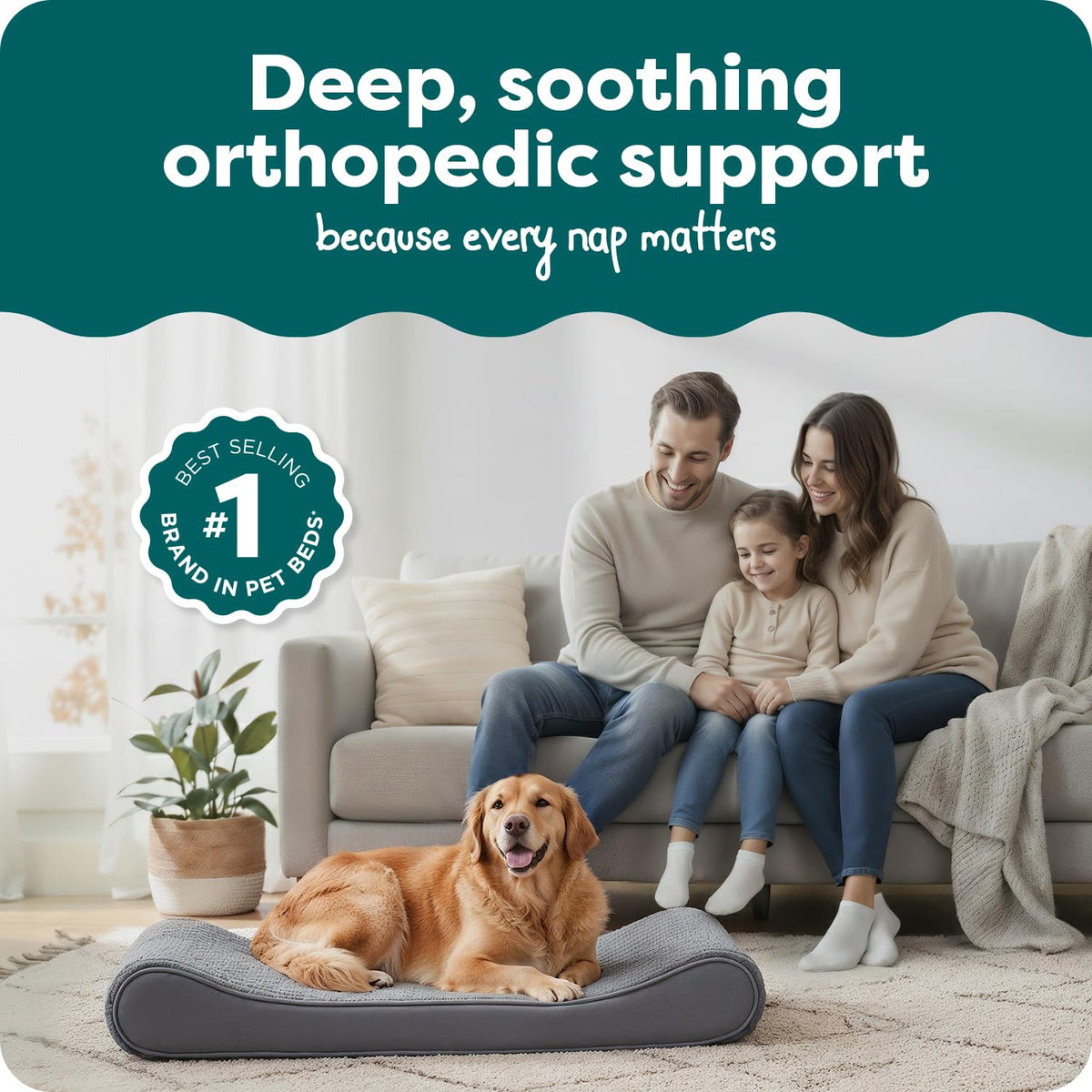 XL Plush Suede Orthopedic Dog Bed T55960
