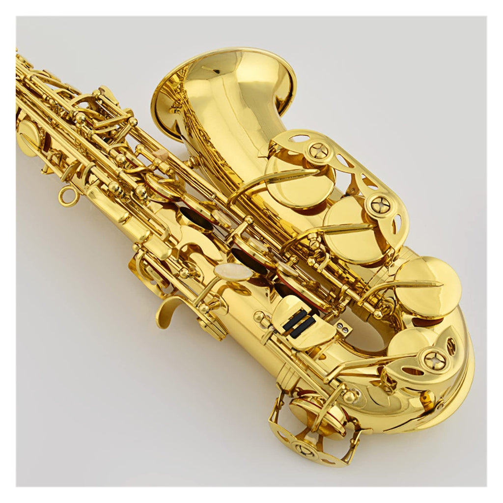 Alto E Flat Lacquered Gold Saxophone F577531