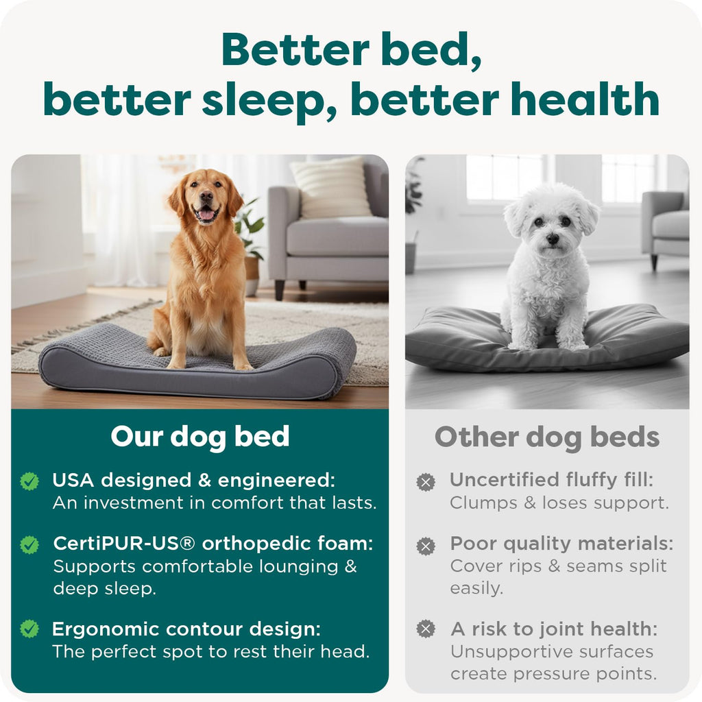XL Plush Suede Orthopedic Dog Bed T55960