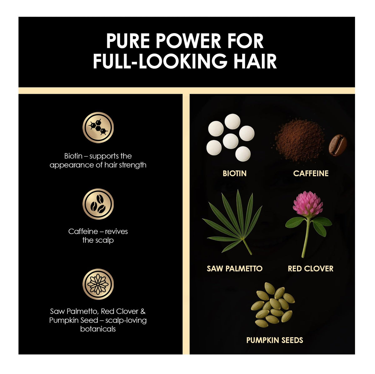 Biotin Caffeine Shampoo and Conditioner Set N7248