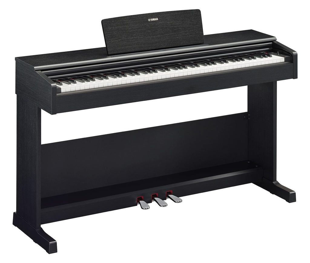 88-Key Weighted Action Upright Digital Piano with Bench C516