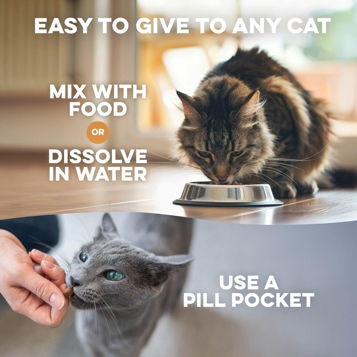 Hairball Treatment for Cats O5398