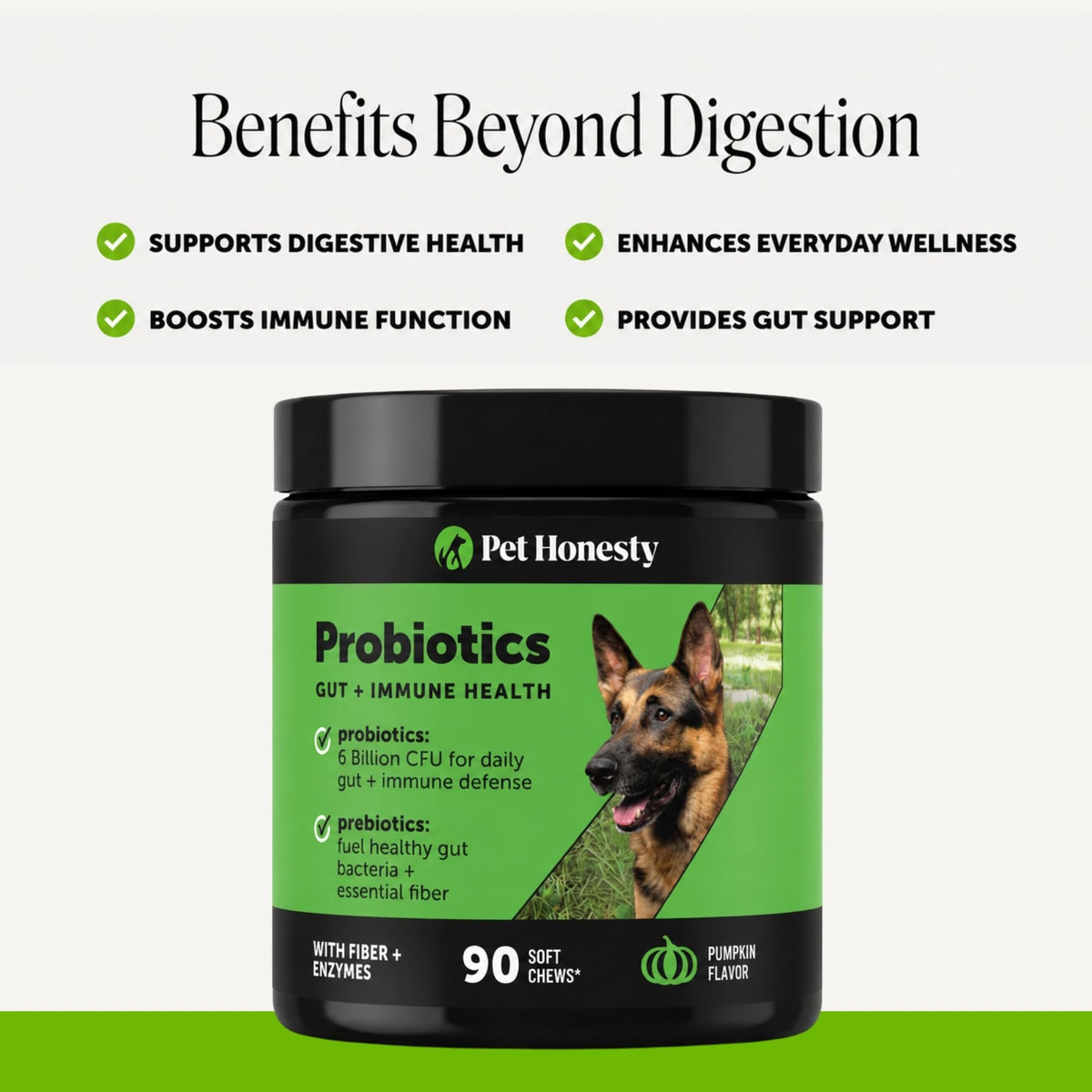 Dog Probiotics Chews 90ct Pumpkin C452012