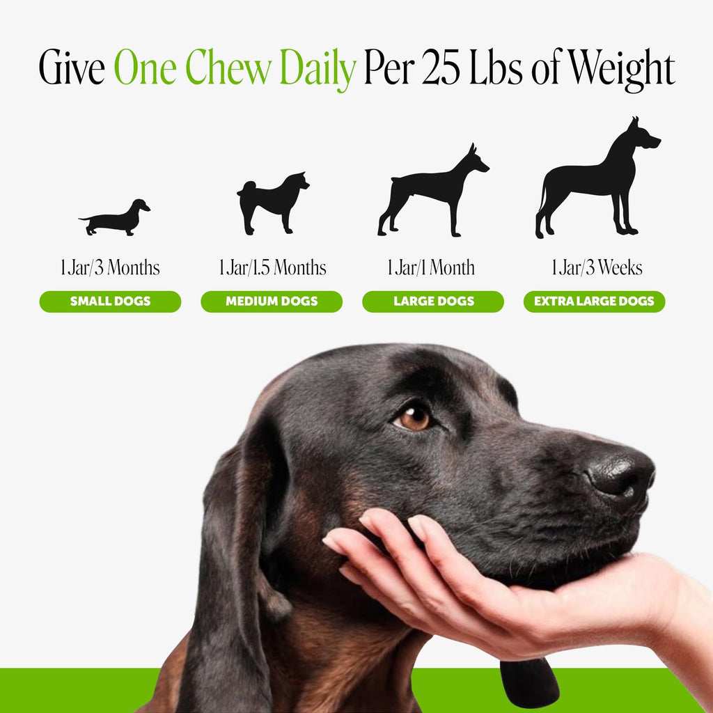 Dog Probiotics Chews 90ct Pumpkin C452012