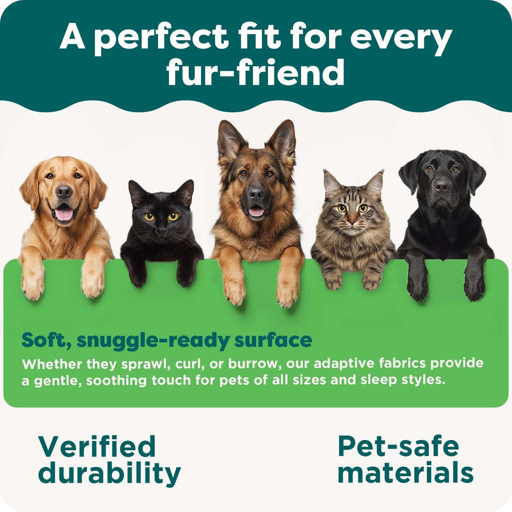 XL Plush Suede Orthopedic Dog Bed T55960