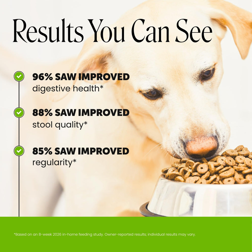 Dog Probiotics Chews 90ct Pumpkin C452012