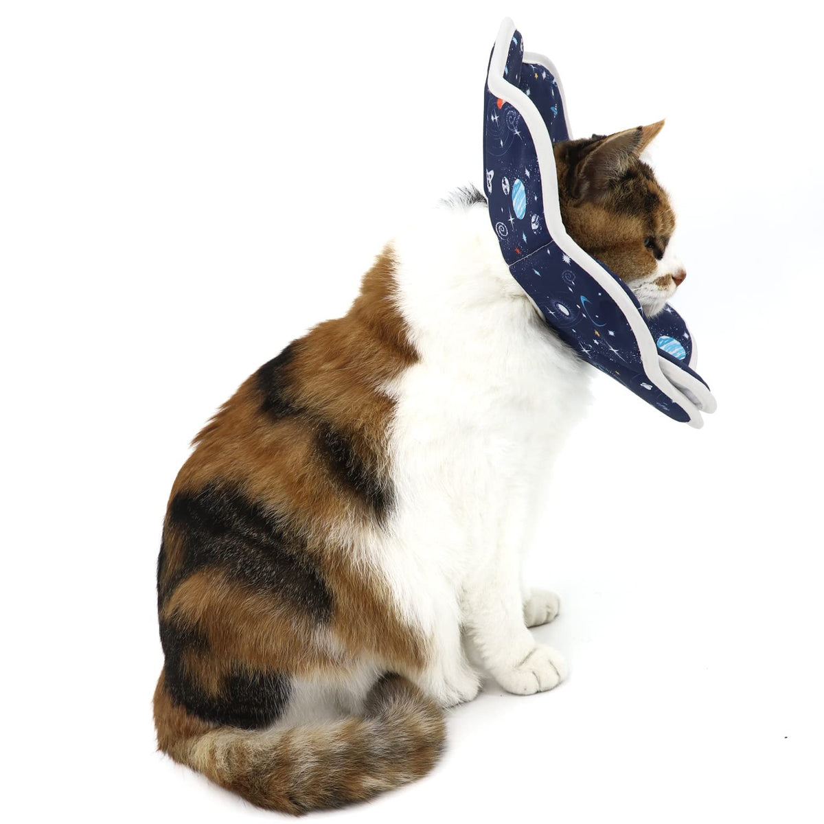 Adjustable Soft Cat Recovery Collar M310278