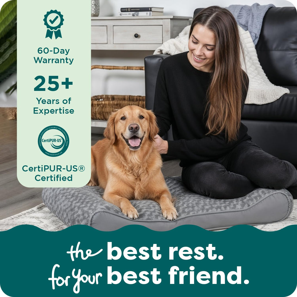 XL Plush Suede Orthopedic Dog Bed T55960