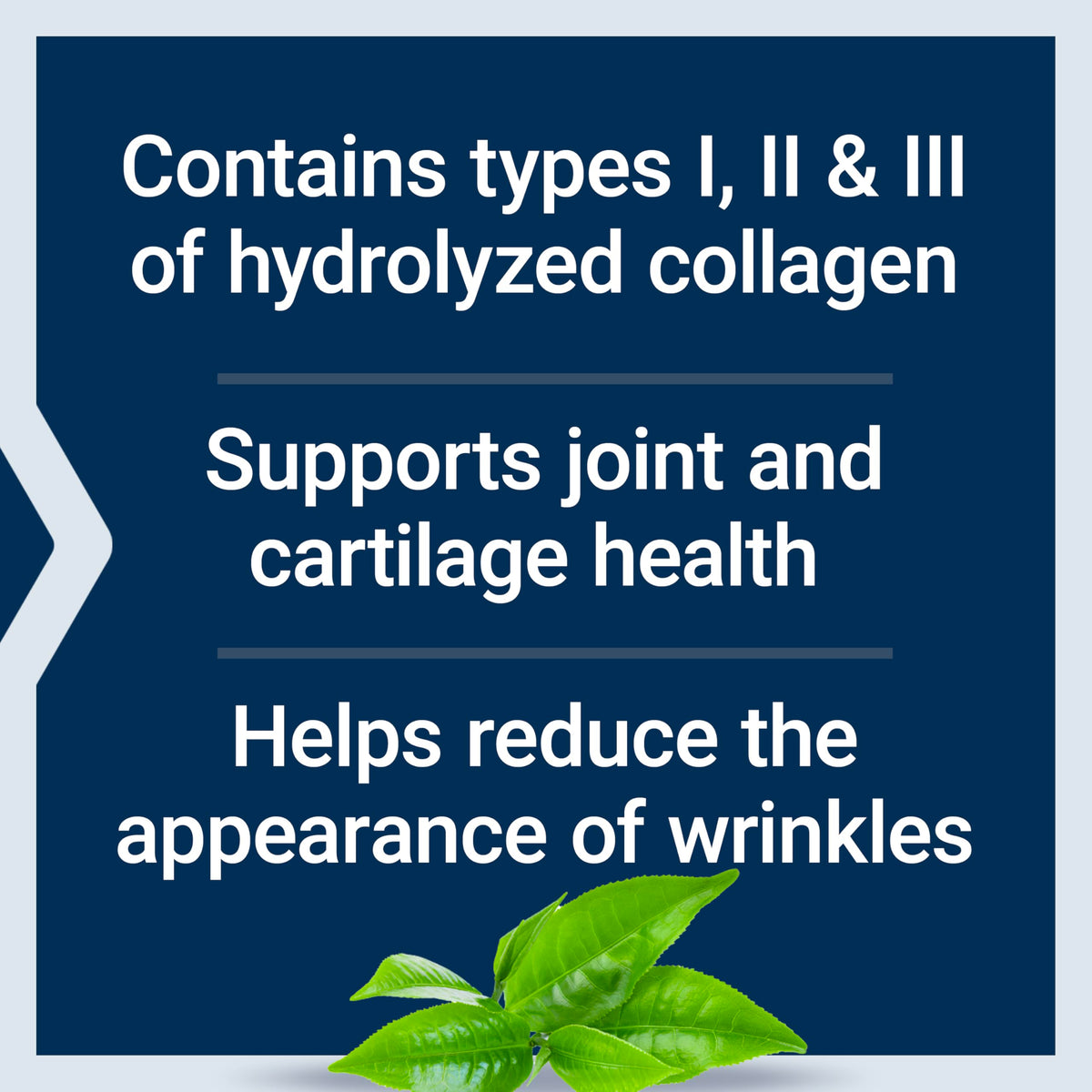 Collagen Peptides 343 Grams M1793