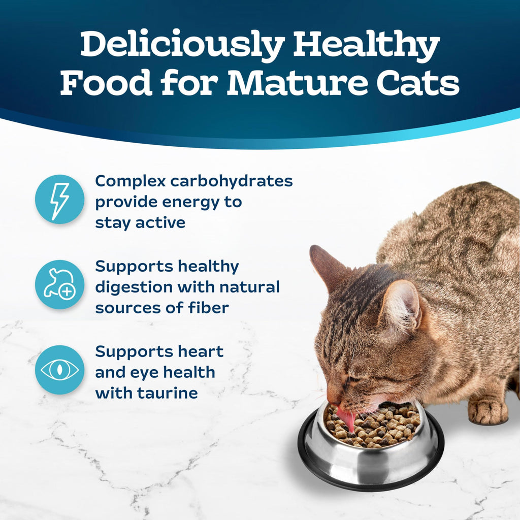 Chicken & Brown Rice Senior Dry Cat Food, 3 lb Y8513