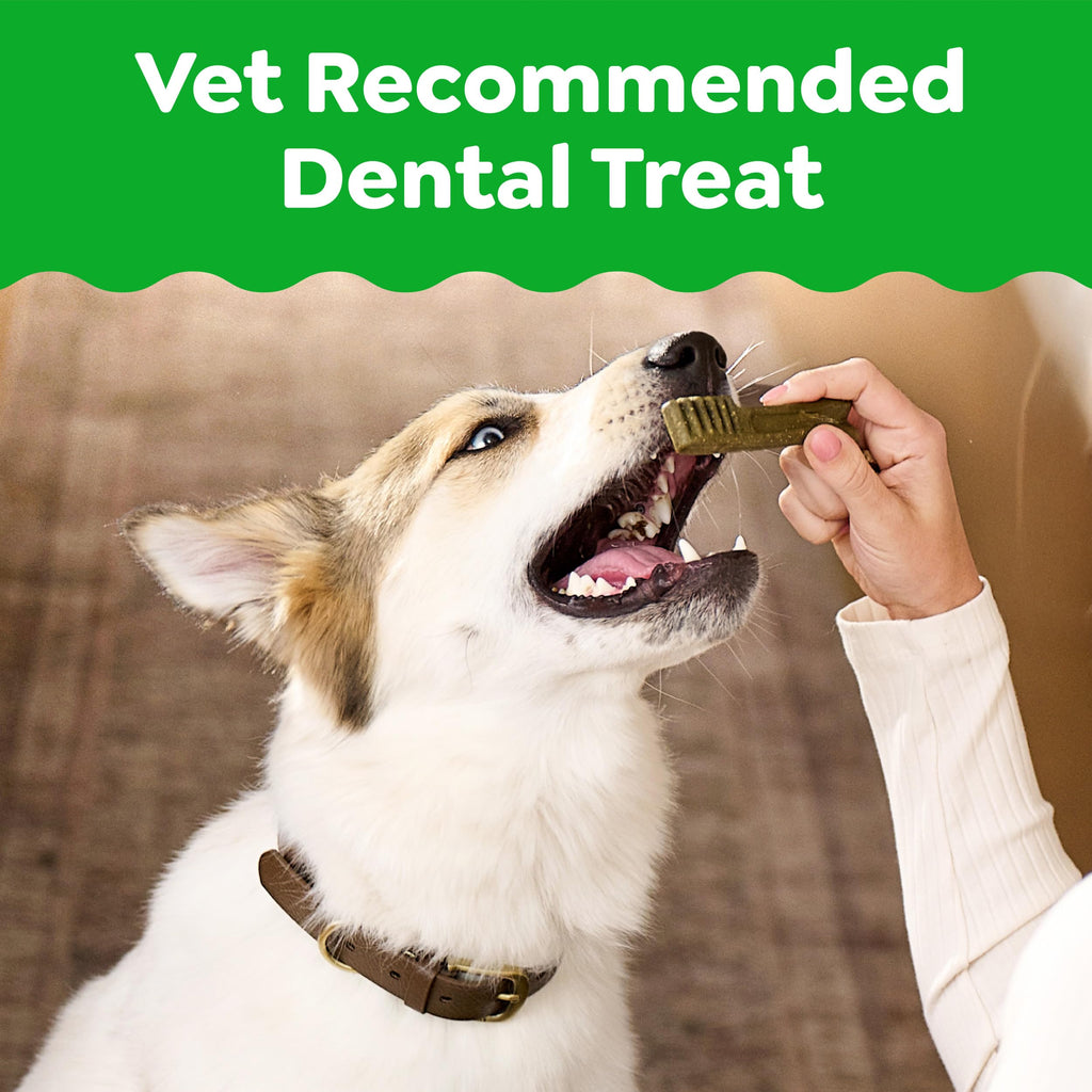 Natural Dental Dog Treats 5 Count N41208