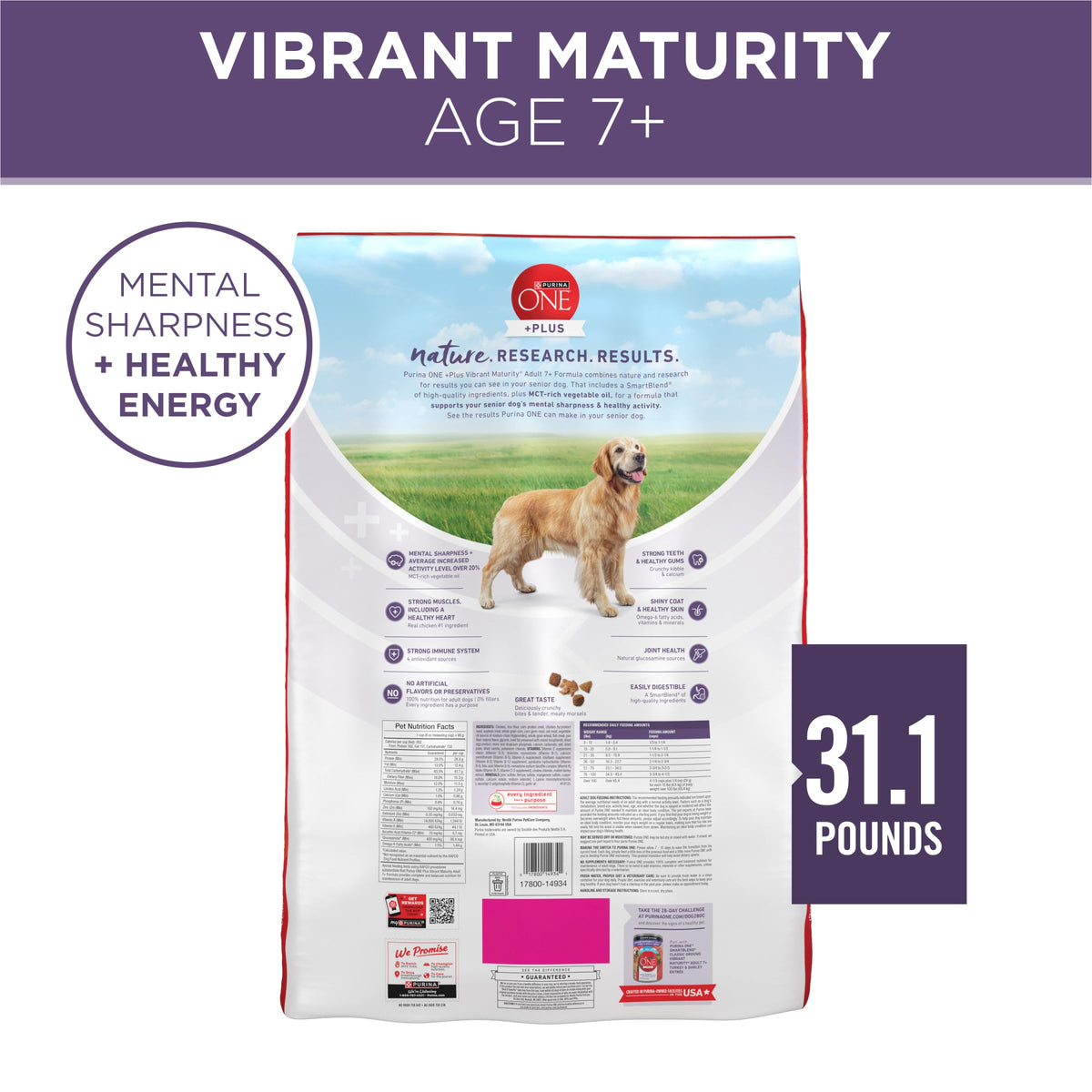 Senior Dry Dog Food 31.1 lb Bag E772134