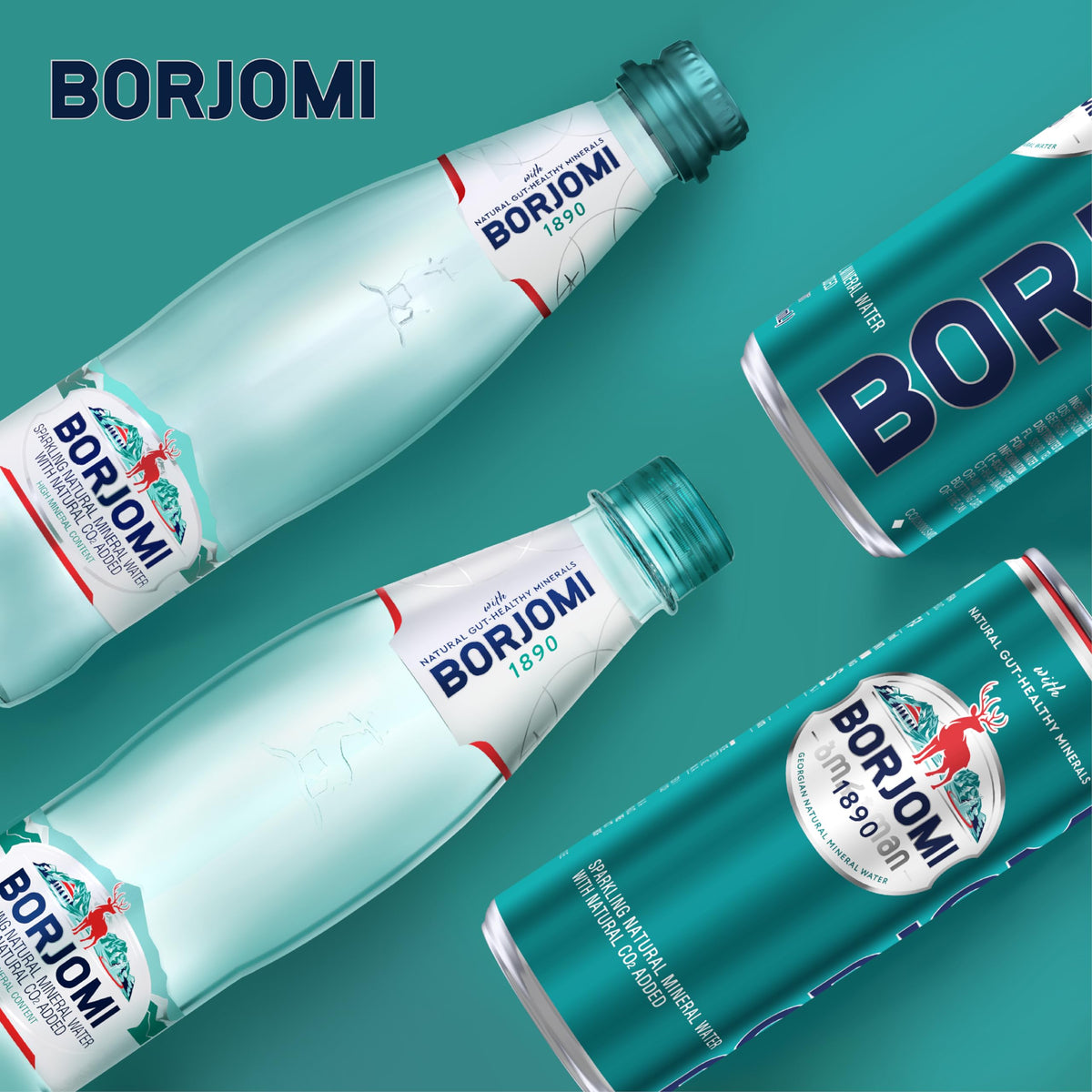 Sparkling Mineral Water 33.8 oz 6 Pack J66518
