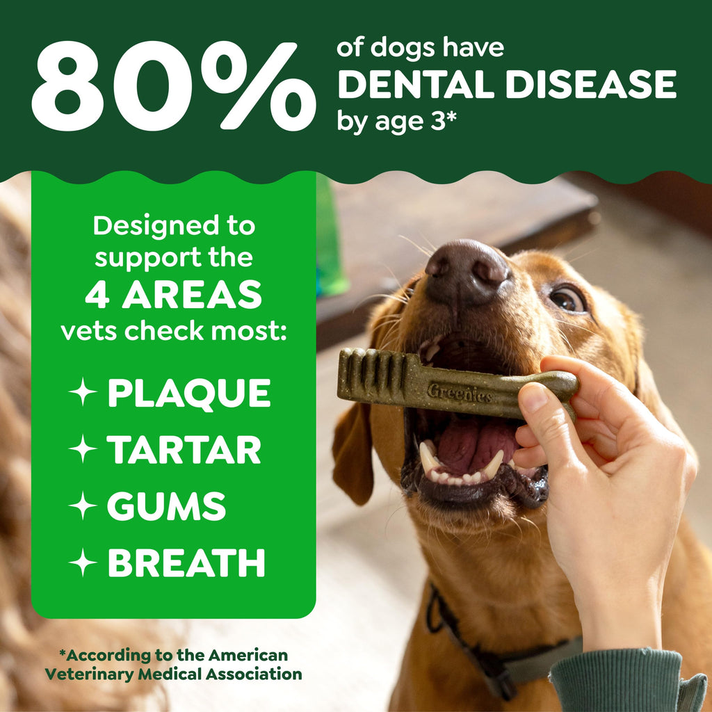 Natural Dental Dog Treats 5 Count N41208