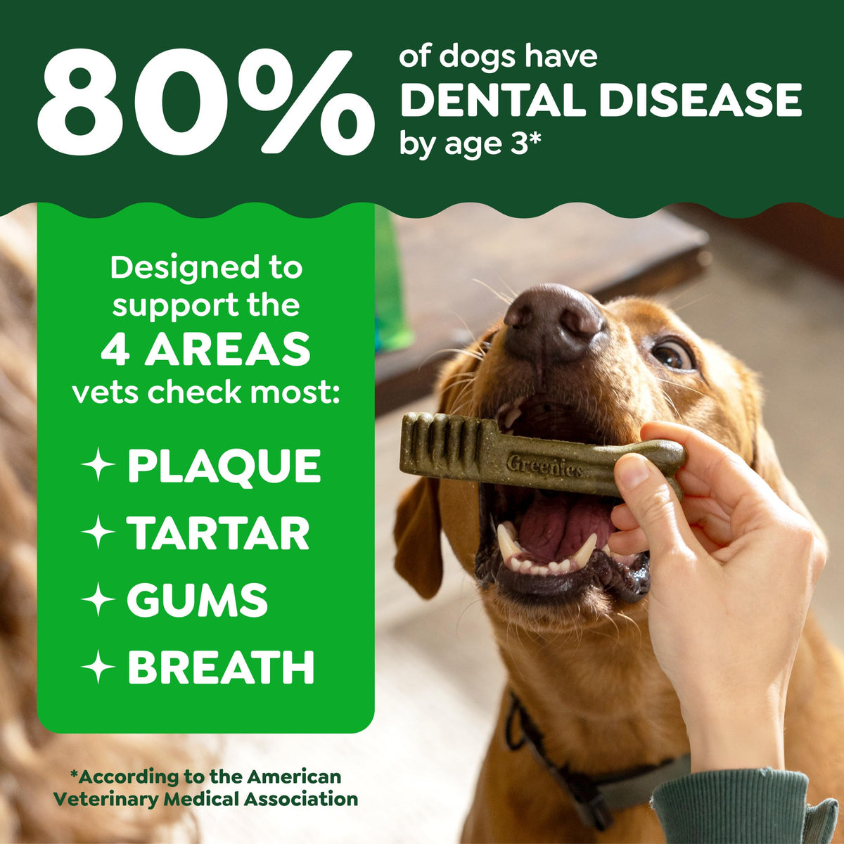 Natural Dental Dog Treats 5 Count N41208