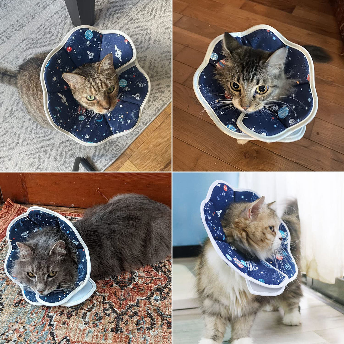 Adjustable Soft Cat Recovery Collar M310278