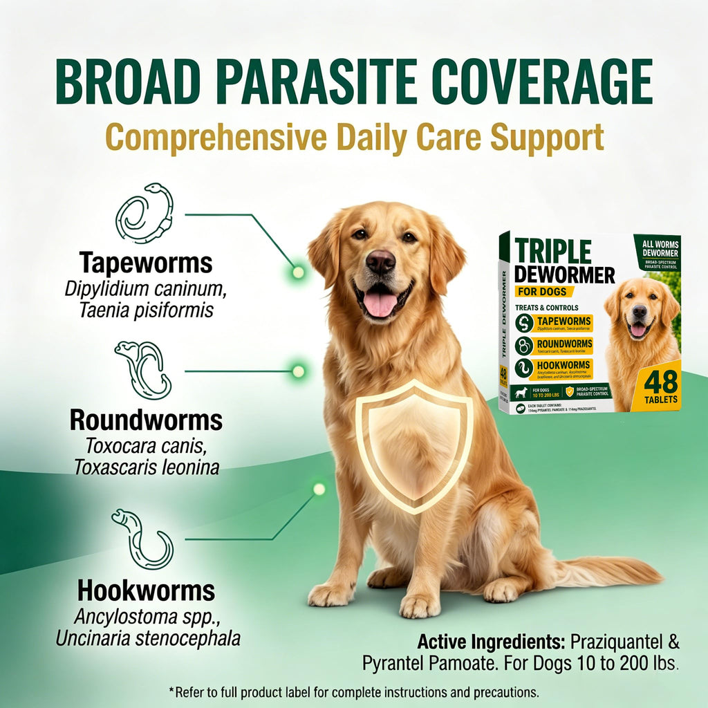 Pyrantel Pamoate and Praziquantel Dog Dewormer Tablet - 48 Tablets I562178