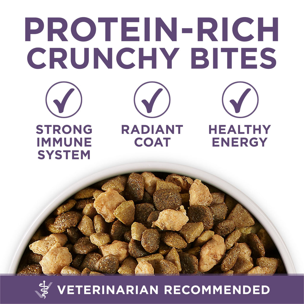 Senior Dry Dog Food 31.1 lb Bag E772134