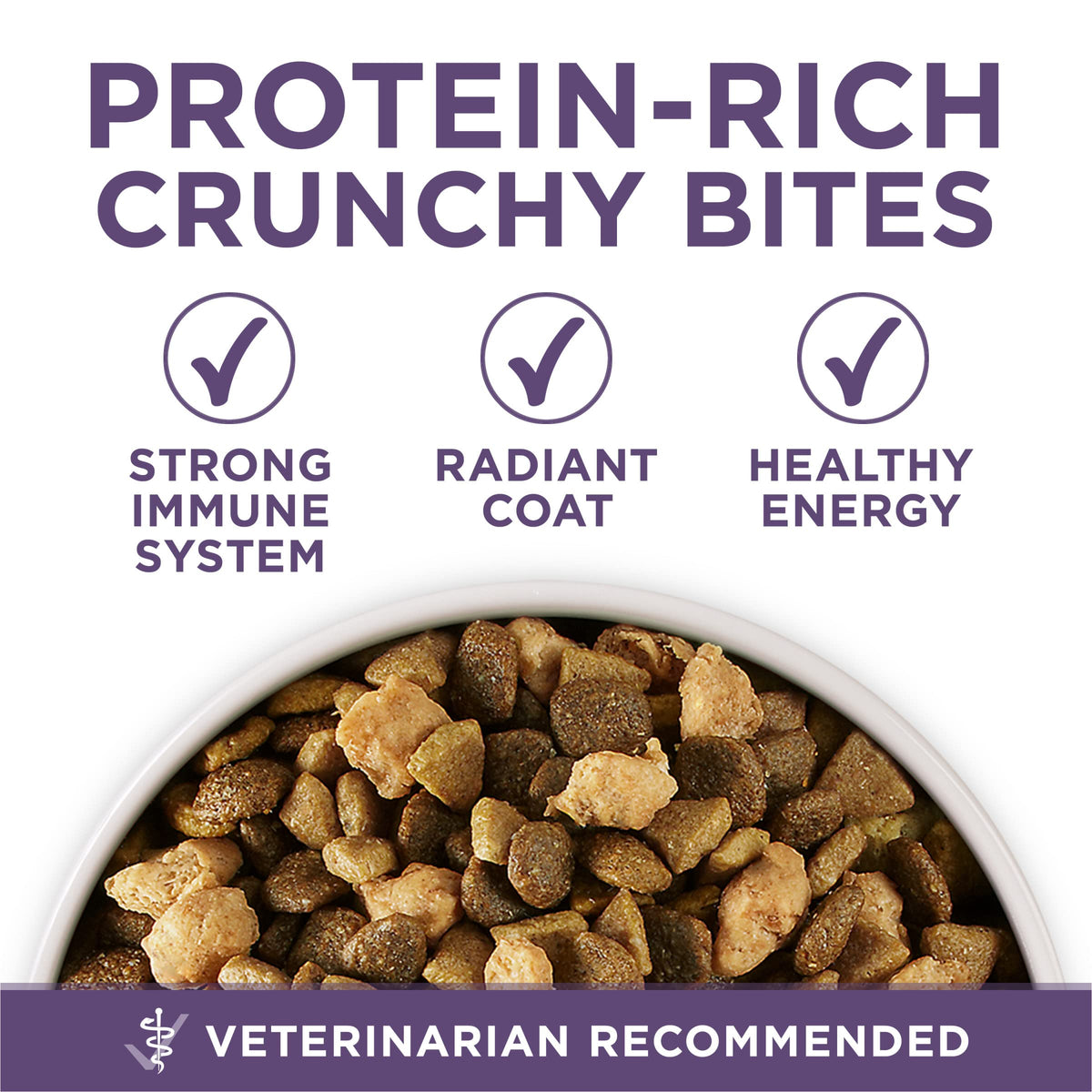 Senior Dry Dog Food 31.1 lb Bag E772134