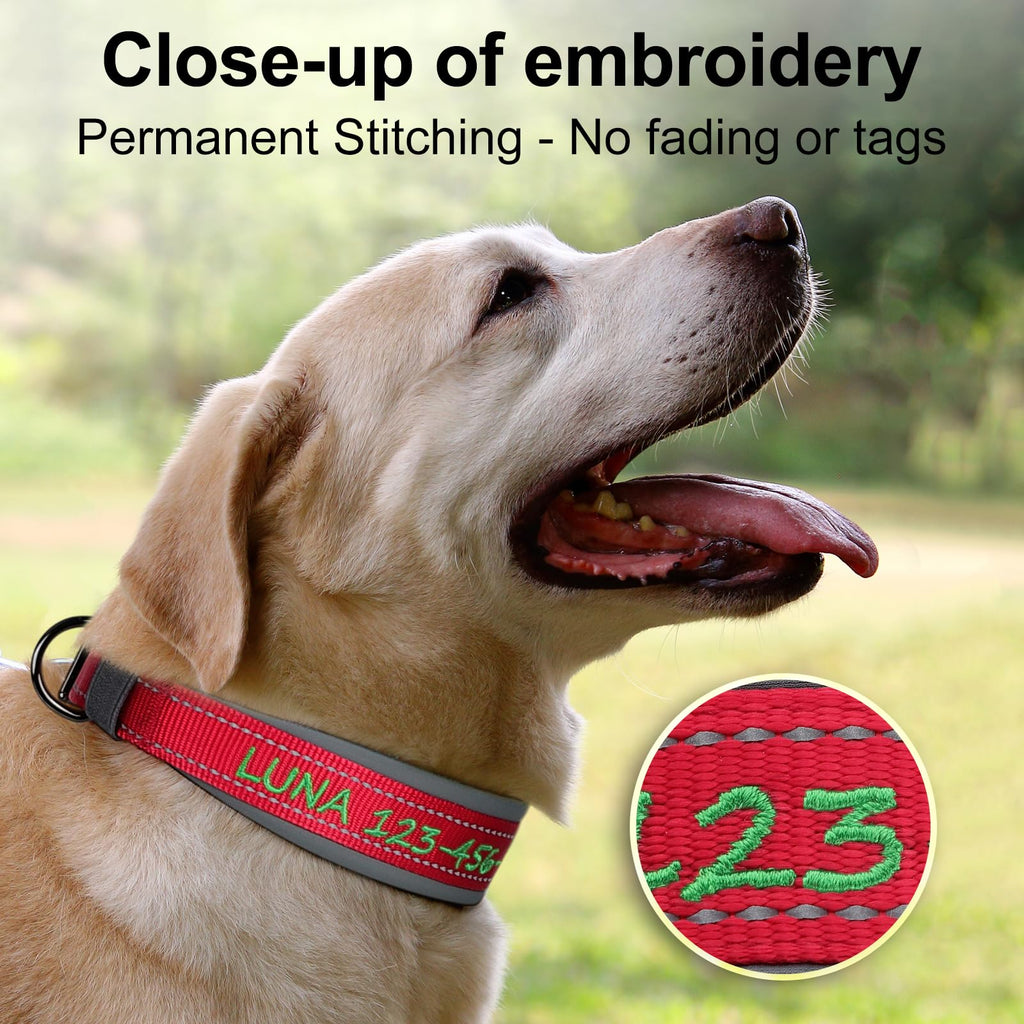 Personalized Dog Collar B772