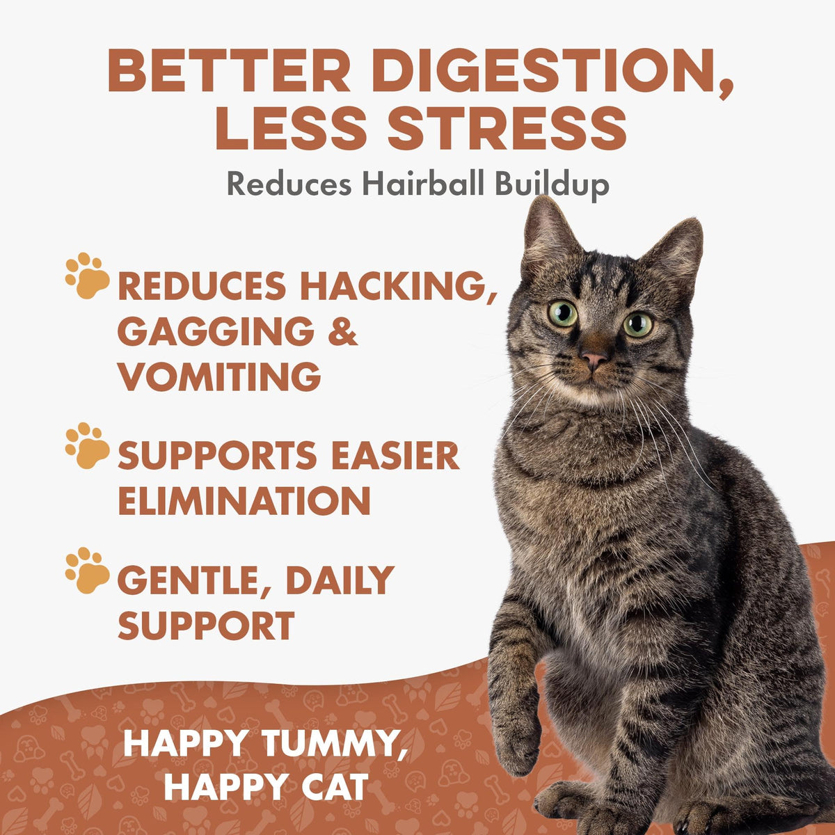 Hairball Treatment for Cats O5398