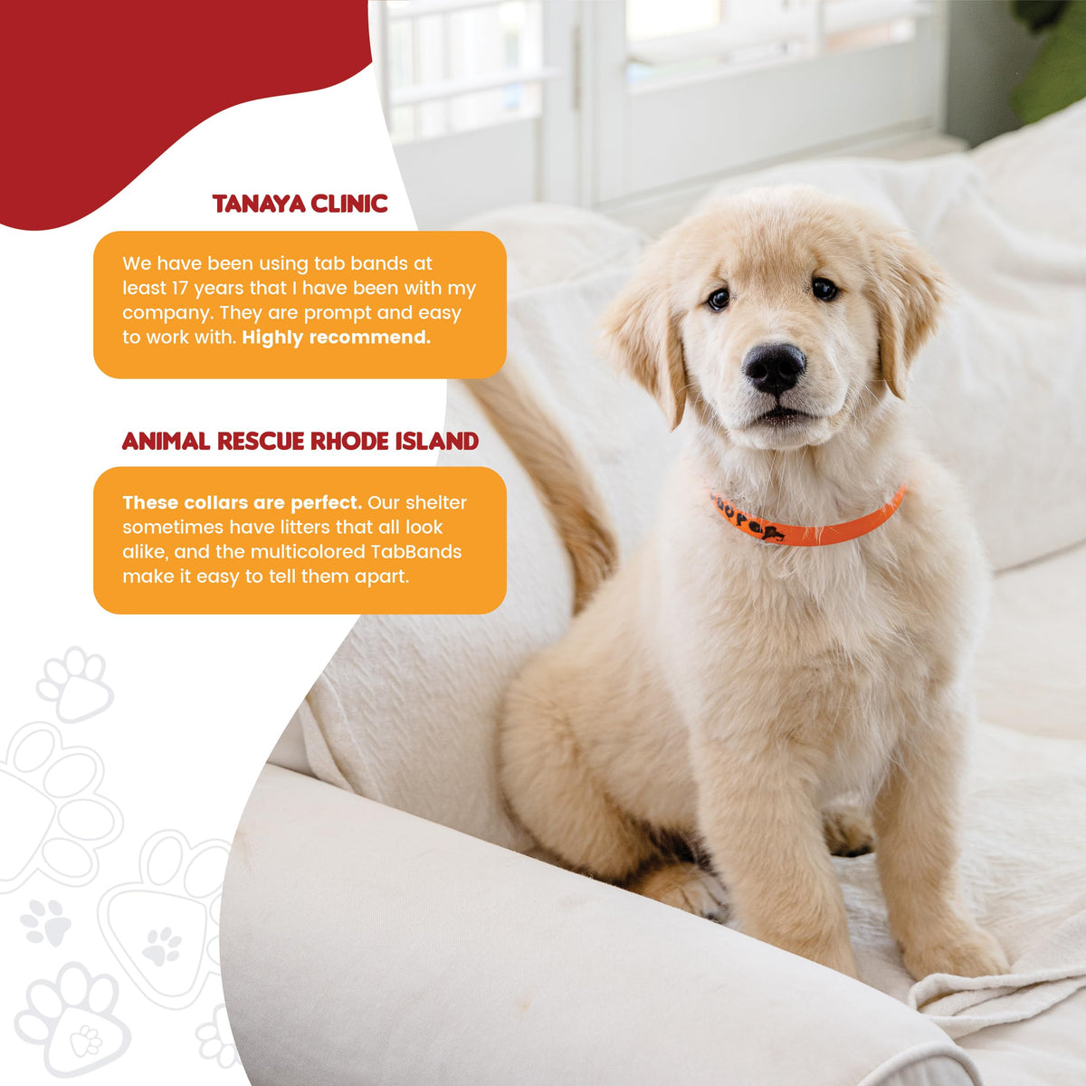 10 Inch 500 Count Waterproof Writable Pet ID Collars Y9996