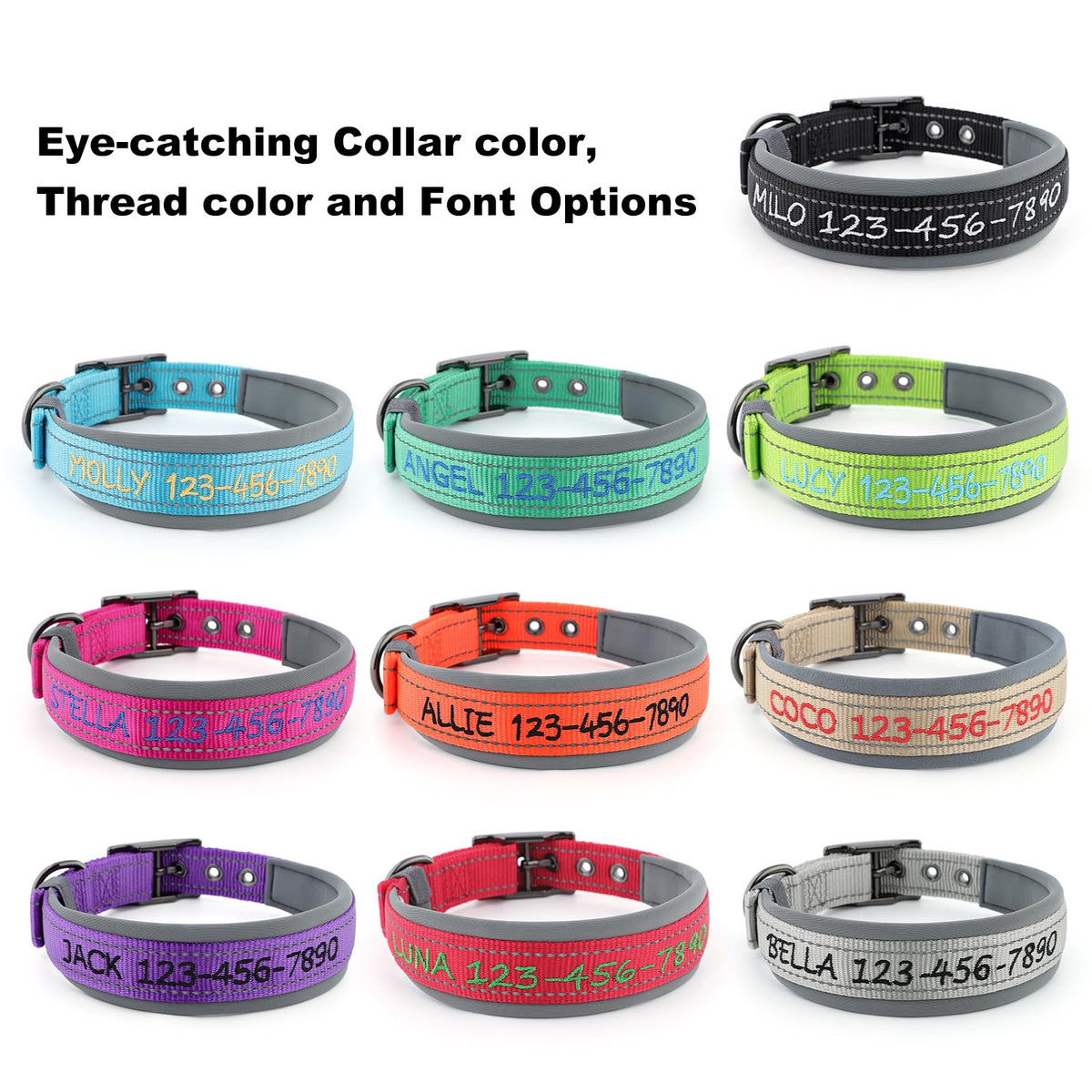 Personalized Dog Collar B772