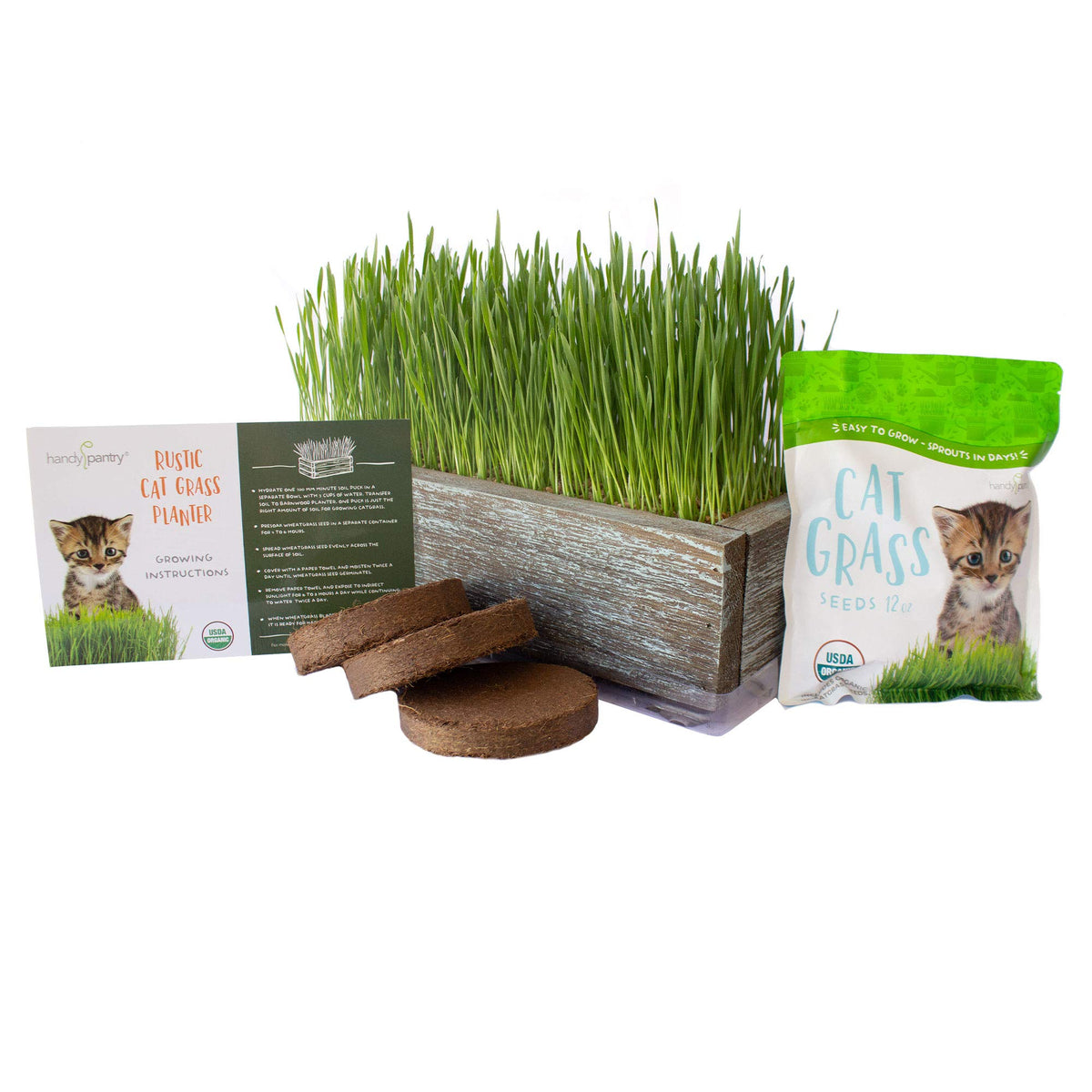 Organic Cat Grass Seeds Kit N340749