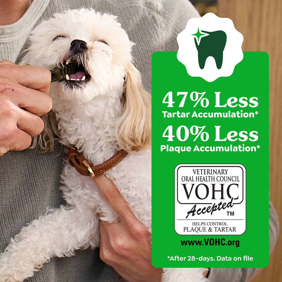 Natural Dental Dog Treats 5 Count N41208