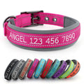 Personalized Dog Collar B772