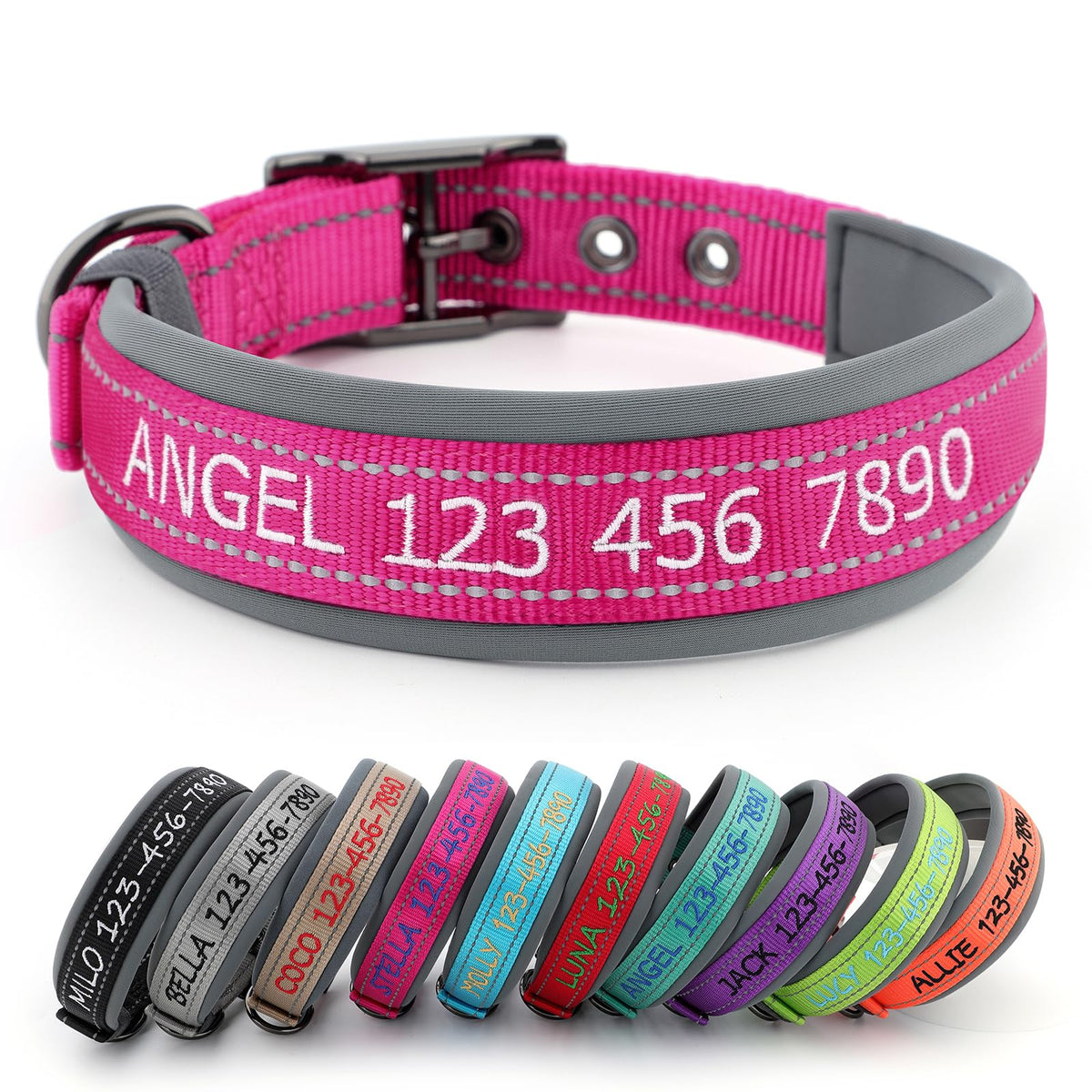 Personalized Dog Collar B772