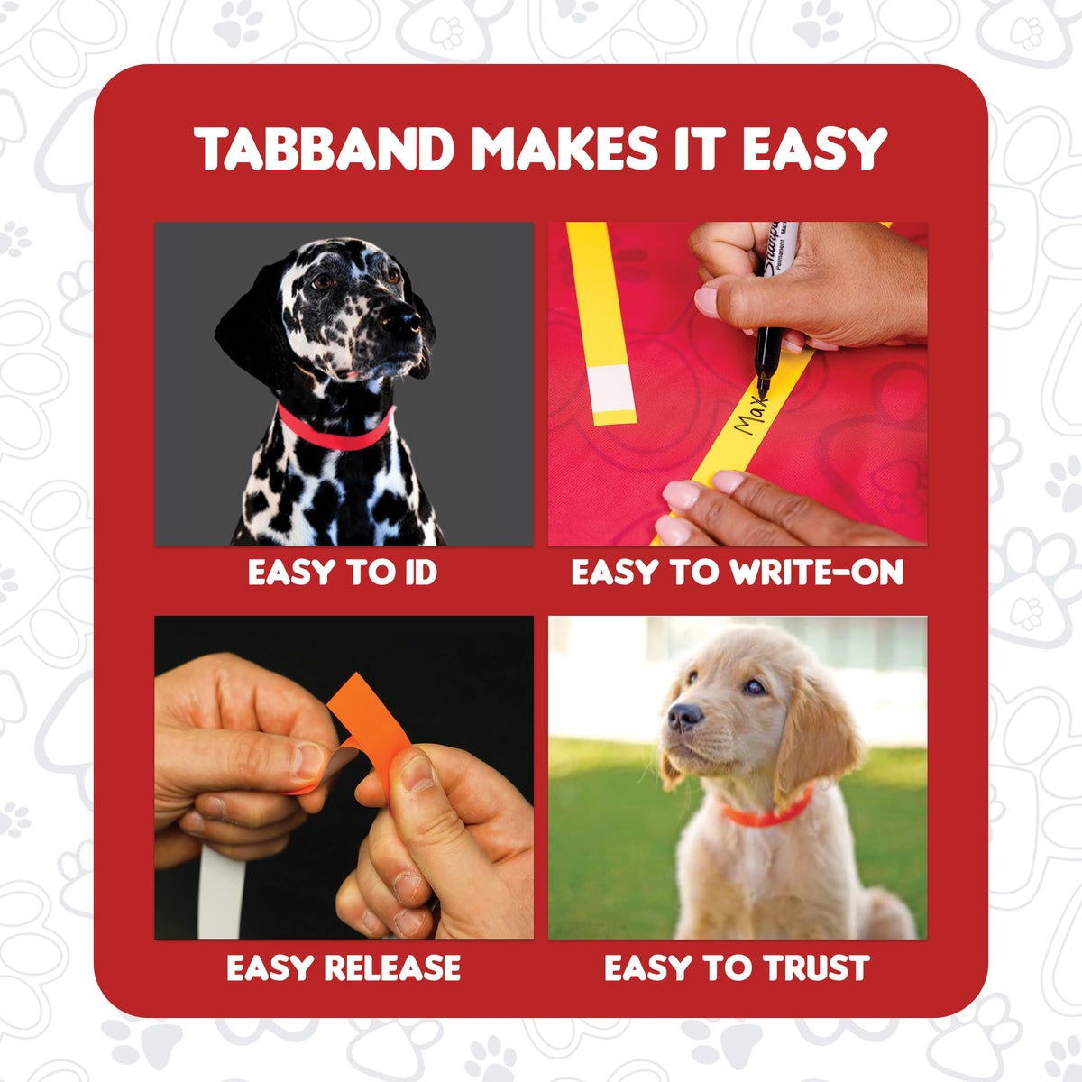 10 Inch 500 Count Waterproof Writable Pet ID Collars Y9996
