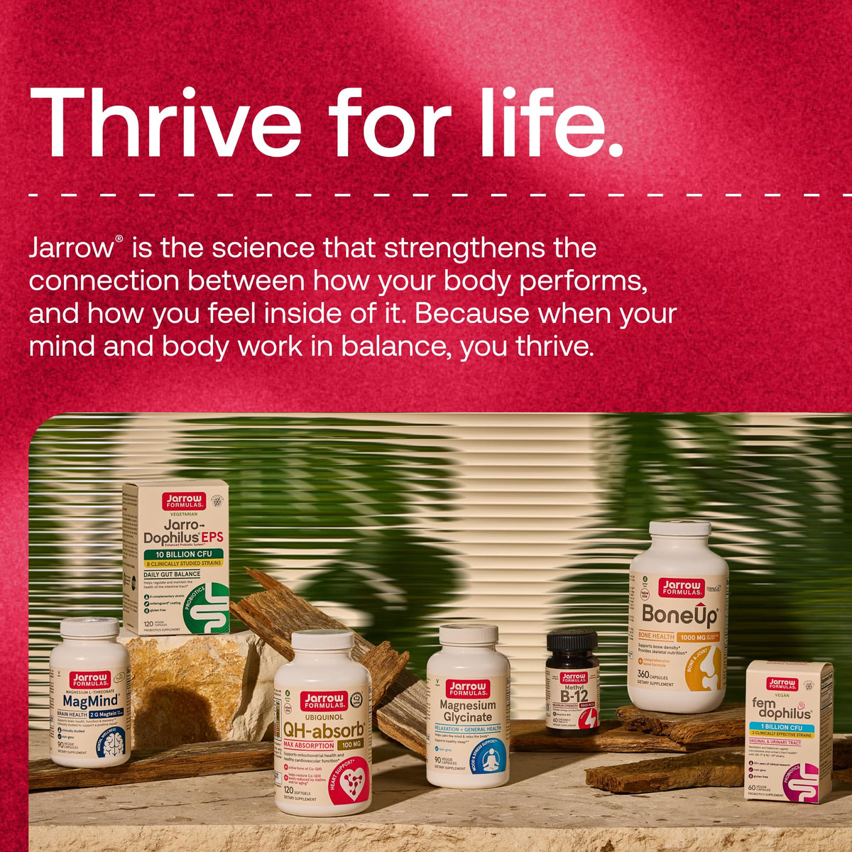 Red Yeast Rice with CoQ10 120 Capsules E1597
