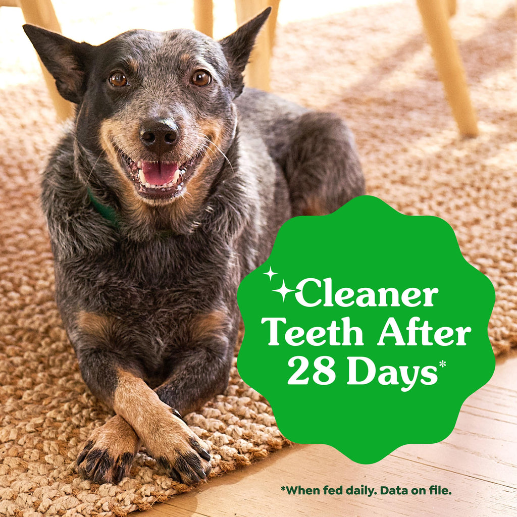 Natural Dental Dog Treats 5 Count N41208