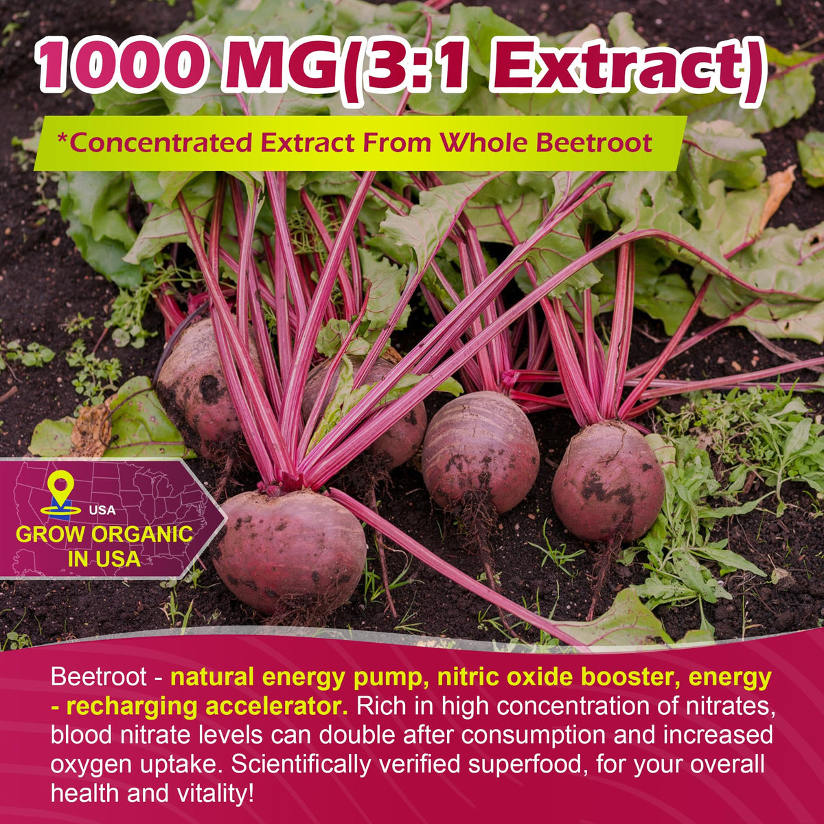 Sugar Free Beet Root Gummies with L-Citrulline & L-Arginine I8022